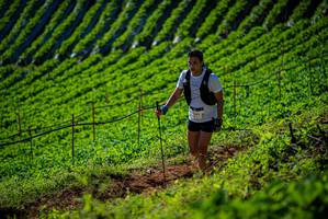 BIB: 
                            <button type="button" onclick="openModal(19161101)" class="btn btn-primary btn-sm float-right btn-popup" data-toggle="modal" data-target=".modal-high-quality">
                        <i class="fas fa-shopping-cart"></i> Add to Cart
                    </button>
                                            <button type="button" onclick="isThisMe(19161101, true)" class="btn btn-success btn-sm float-right btn-popup btn-isme hidden" data-toggle="tooltip" data-placement="bottom" title="นี่คือรูปของคุณใช่ไหม คลิกที่นี่เพื่อเอาเข้าอัลบั้ม">
                        <i class="fas fa-plus"></i> Add to album
                    </button>
                    <button type="button" onclick="isThisMe(19161101, false)" class="btn btn-warning btn-sm float-right btn-popup btn-isnotme hidden">
                        <i class="fas fa-ban"></i> Remove from album
                    </button>